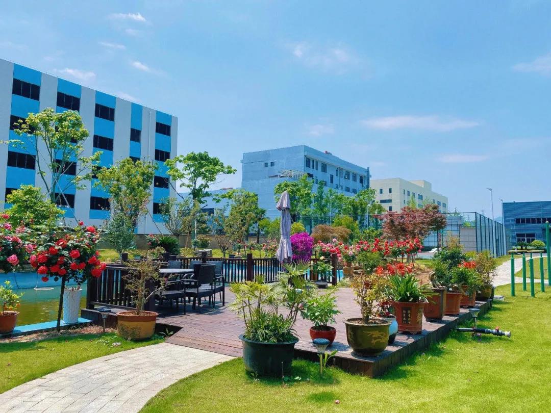 風(fēng)景這邊獨好!東大環(huán)境美景一覽,請查收