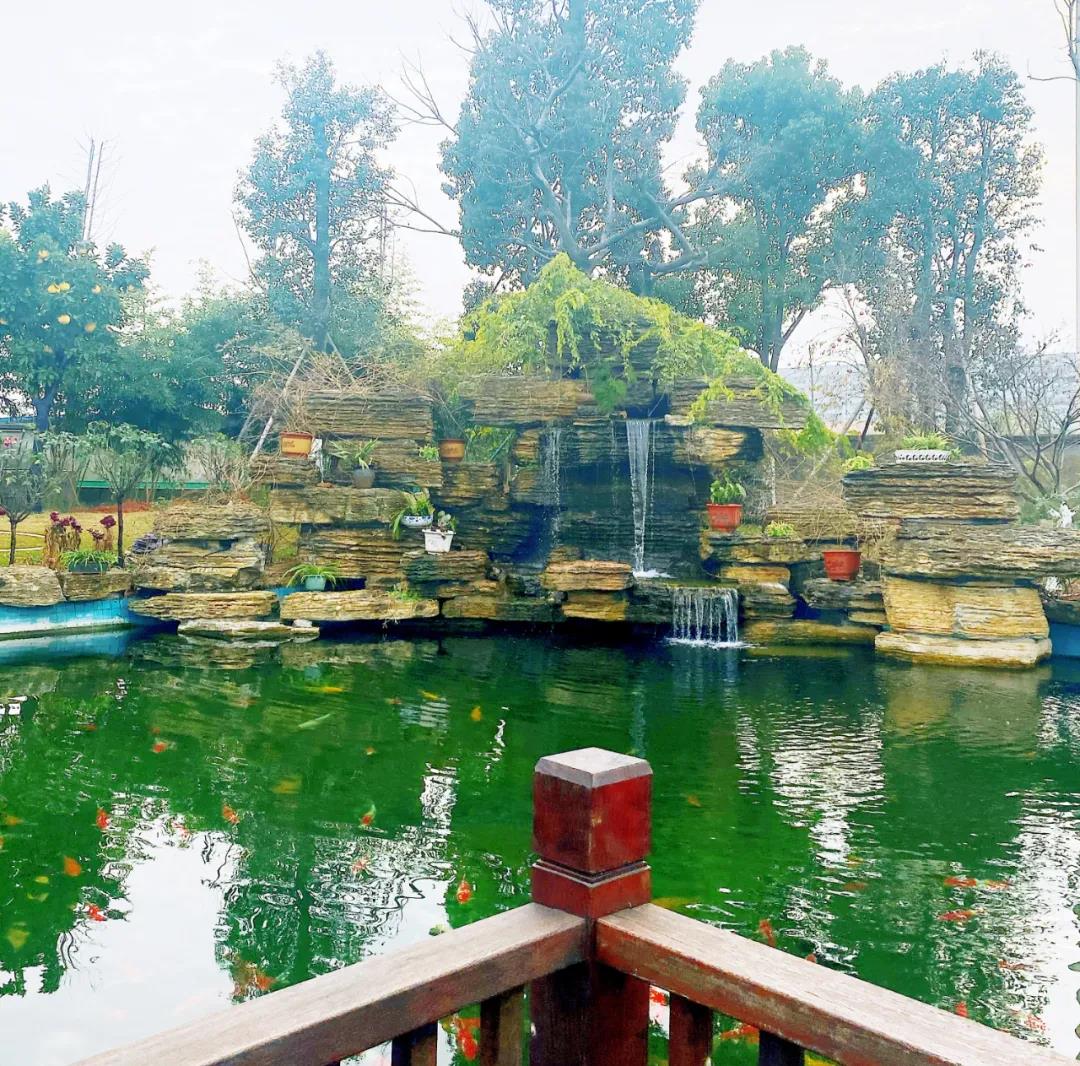 風(fēng)景這邊獨好!東大環(huán)境美景一覽,請查收