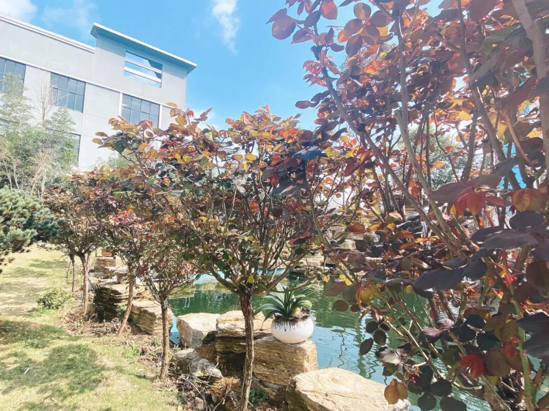 風(fēng)景這邊獨好!東大環(huán)境美景一覽,請查收